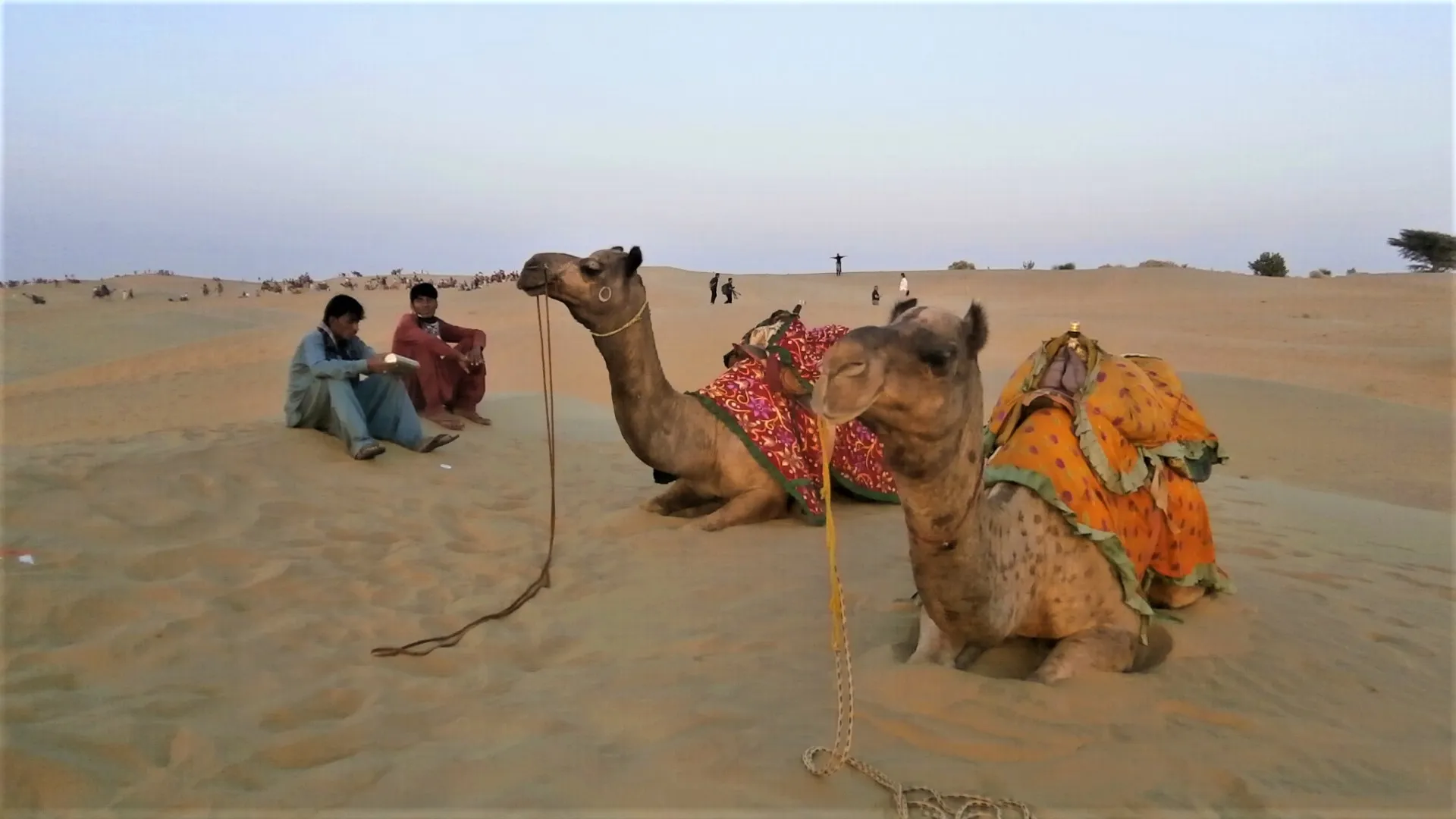 Adventure Activities in Jaisalmer