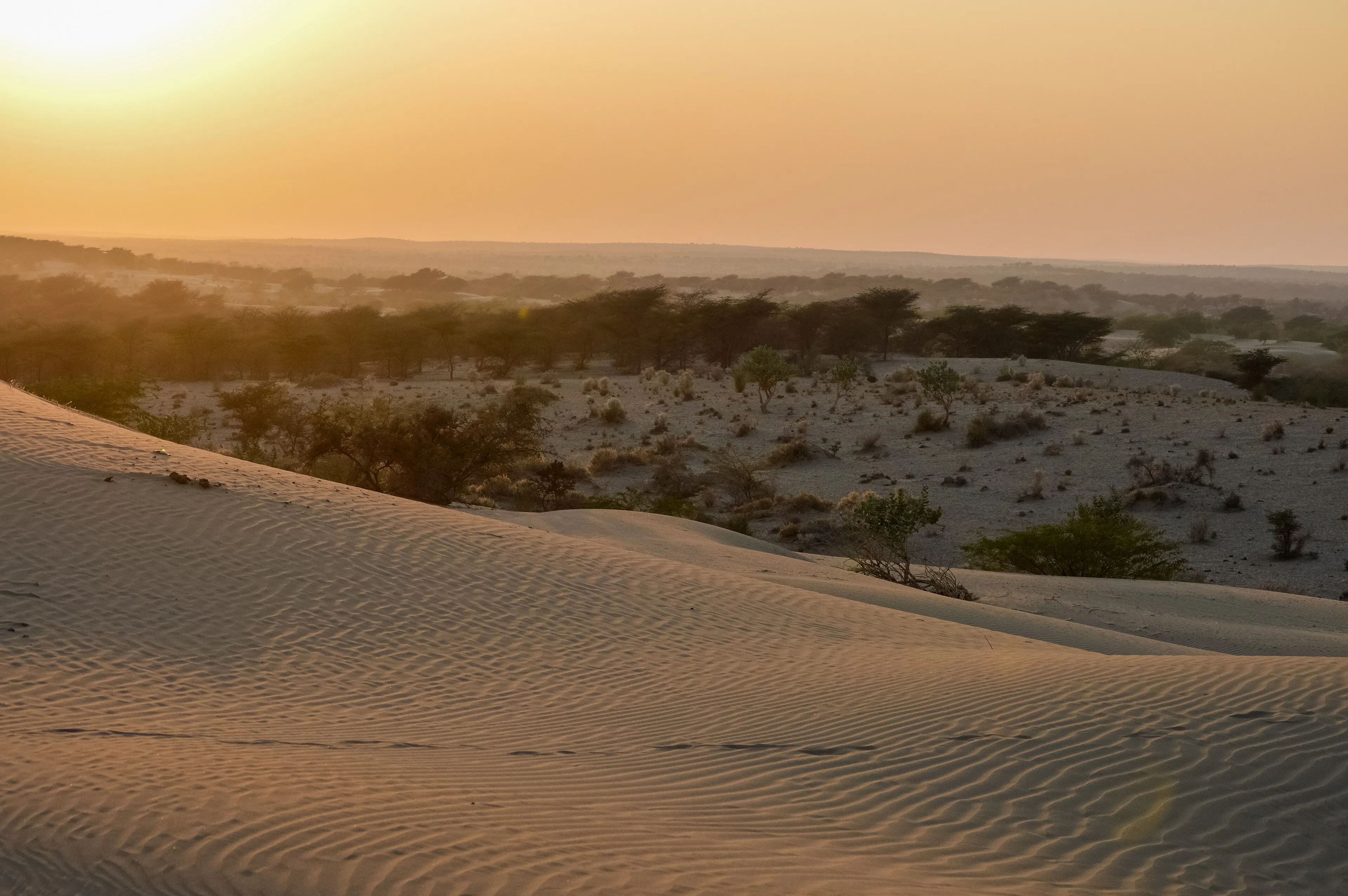 Camel riders crossing the Sam Sand Dunes at sunset near Jaisalmer